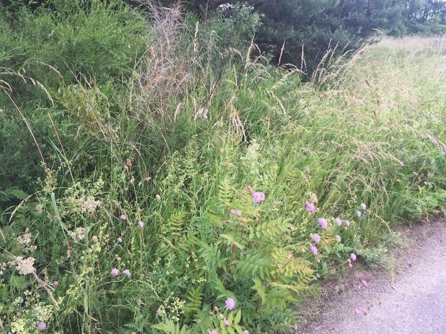 Entspannung In Der Schönen Lüneburger Heide Gohrde