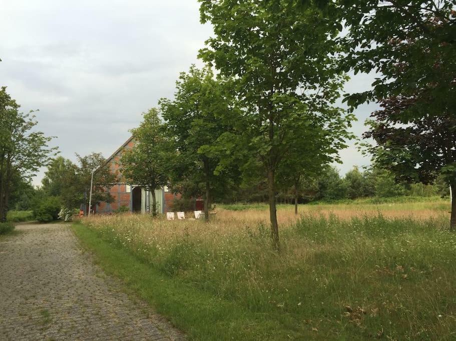 Entspannung In Der Schönen Lüneburger Heide Apartment Gohrde